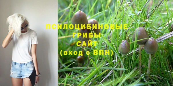 ECSTASY Алзамай