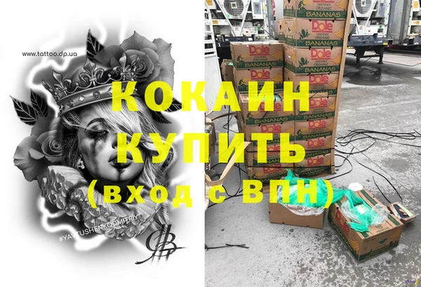ECSTASY Алзамай