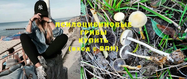 винт Армянск