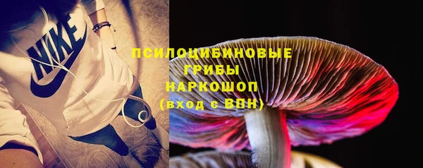 винт Армянск